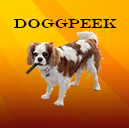 Doggpeek