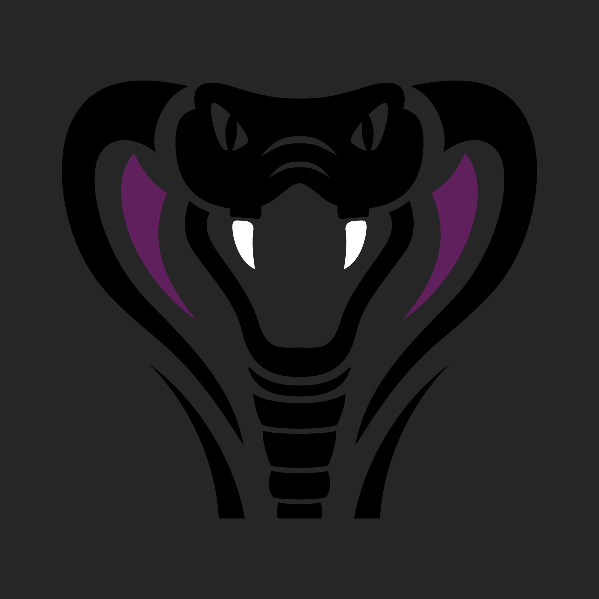 StrynX eSports