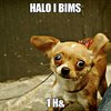 I BIMS